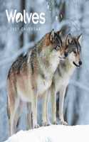 WOLVES MINI SQUARE WALL CALENDAR 2021