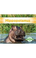 Hippopotamus