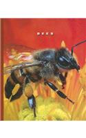 Bees