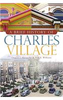 Brief History of Charles Village