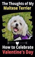 Thoughts of My Maltese Terrier: How to Celebrate Valentine's Day