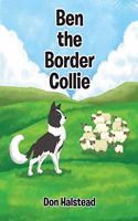 Ben the Border Collie