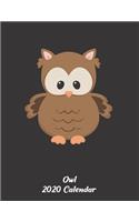 2020 Owl Calendar: Bird Gifts - A 52-Week Weekly Planner (Baby Animal)