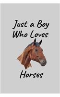 Just A Boy Who Loves Horses