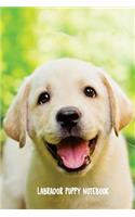 Labrador Puppy Notebook: 6 x 9 inch dog journal, graph paper, dot grid journal, 200 pages
