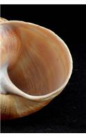 Snail Shell Notebook