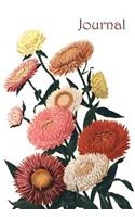 Journal