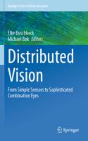 Distributed Vision