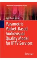Parametric Packet-based Audiovisual Quality Model for IPTV services: (T-Labs Series in Telecommunication Services)