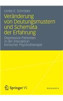 Veränderung Von Deutungsmustern Und Schemata Der Erfahrung