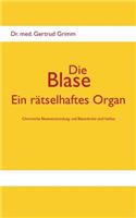 Blase - Ein Ratselhaftes Organ