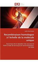 Recombinaison Homologue ? l''?chelle de la Mol?cule Unique
