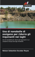 Uso di nanobolle di ossigeno per ridurre gli inquinanti nei laghi