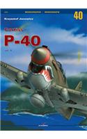 Curtiss P-40 Vol. II