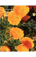 Flora of Crete