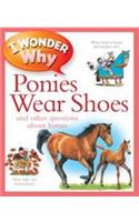 I Wonder Why Ponies Wear Shoes