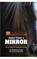More Than a Mirror