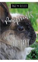 Pawprints On My Heart 9