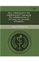 How Collaborative the Collaboration? Assessing the Collaboration of Services for Juvenile Offenders