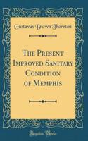 The Present Improved Sanitary Condition of Memphis (Classic Reprint)
