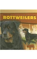 Rottweilers