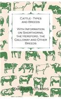 Cattle - Types and Breeds - With Information on Shorthorns, the Hereford, the Galloway and Other Breeds