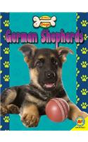 German Shepherds