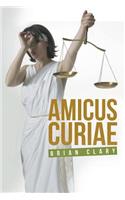 Amicus Curiae