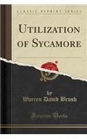 Utilization of Sycamore (Classic Reprint)