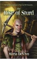 The Rise of Sturd