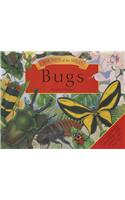 Sounds of the Wild: Bugs