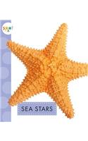 Sea Stars