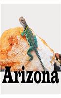 My Adventures to Arizona Travel Journal