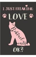 I Just Freaking Love Bobtail Cats, OK?: Bobtail Cat Gifts - Lined Notebook Journal Featuring a Pink Cat on Black Background