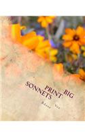 Big Print Sonnets