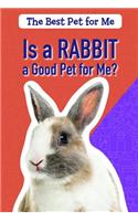 Is a Rabbit a Good Pet for Me?: (Best Pet for Me)