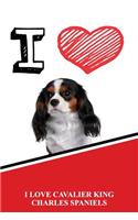 I Love Cavalier King Charles Spaniels