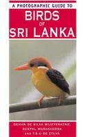 A Photographic Guide to Birds of Sri Lanka
