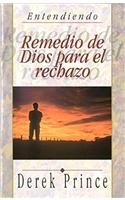 Remedio de Dios Para El Rechazo: Entendiendo(Entendiendo)