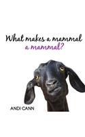 What Makes a Mammal a Mammal?