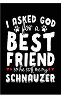 I Asked God For A Best Friend So He Sent Me My Schnauzer