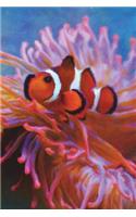 False Clownfish in the Anemones - Lined Notebook with Margins: 101 Pages, Medium Ruled, 6 x 9 Journal, Soft Cover