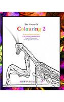The Nature of Colouring 2