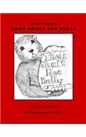 Thou Shalt Not Bully