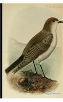 Vintage Bird Print Journal