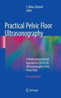 Practical Pelvic Floor Ultrasonography