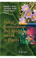 Sulfur Assimilation and Abiotic Stress in Plants