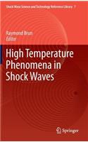 High Temperature Phenomena in Shock Waves