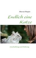 Endlich eine Katze: Anschaffung und Haltung