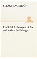 Ein Stuck Lebensgeschichte Und Andere Erzahlungen